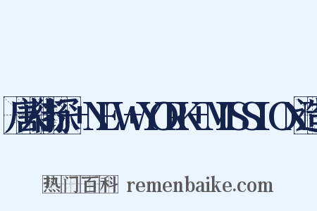 唐人街探偵+NEW+YORK+MISSION造句是什么意思的图片